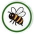 Allergy
